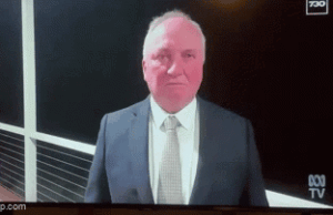 Entrevista com o cachorro Barnaby Joyce: One Nation MP entrevistado com o 730 da ABC