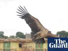 Um dia brilhante e animado: como a arte e o espetáculo transformaram uma antiga cidade mineira de Durham. Condado de Durham
