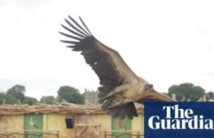 Um dia brilhante e animado: como a arte e o espetáculo transformaram uma antiga cidade mineira de Durham. Condado de Durham