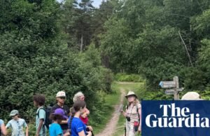 Férias em grupo familiar em Exmoor: trens a vapor, arvorismo e sorvete. férias em família