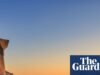 ‘O mar mais limpo em que já nadei’: as férias favoritas dos leitores na Grécia, na Grécia