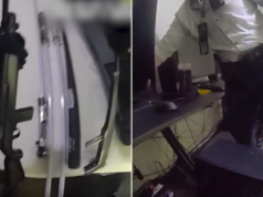 A polícia supostamente encontrou armas de fogo depois que um homem foi acusado de espalhar imagens explícitas de mulheres geradas por IA