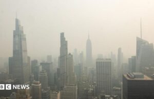 Canadá emite alerta de qualidade do ar nos EUA enquanto a poluição cobre as principais cidades