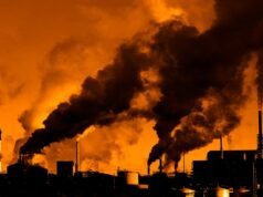 Sinais de alerta sobre o custo real da IA (cortesia do Google e da Amazon)