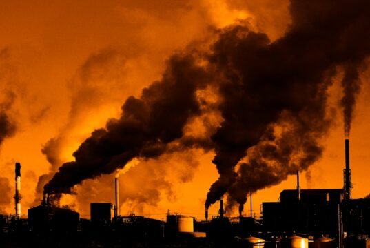 Sinais de alerta sobre o custo real da IA (cortesia do Google e da Amazon)
