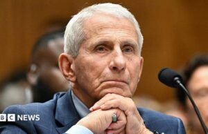 Anthony Fauci se recusou a responder a perguntas durante uma tensa audiência no Senado dos EUA sobre as origens da Covid