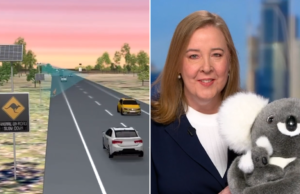 Sinais de trânsito com tecnologia de IA que detectam a vida selvagem e alertam os motoristas em tempo real serão testados em NSW