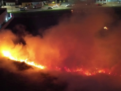 Vídeo: Grande incêndio florestal em Hortolândia