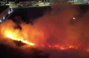 Vídeo: Grande incêndio florestal em Hortolândia